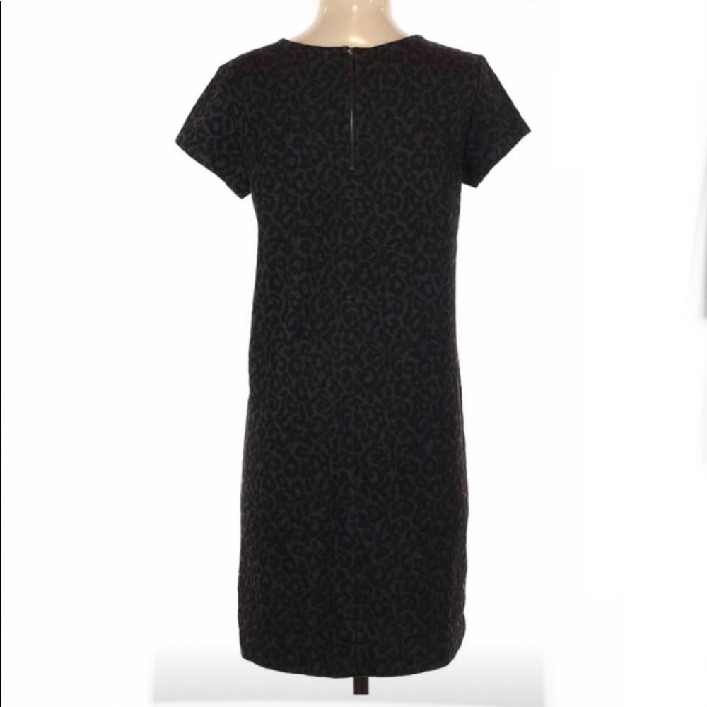 Ann Taylor black/gray cheetah dress